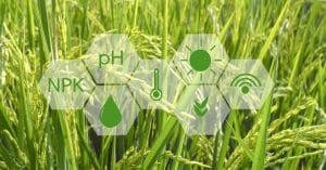 Proceso de gestion comercial