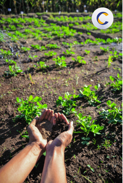 Innovación Sostenible para el Sector Agropecuario - Caso de Exito