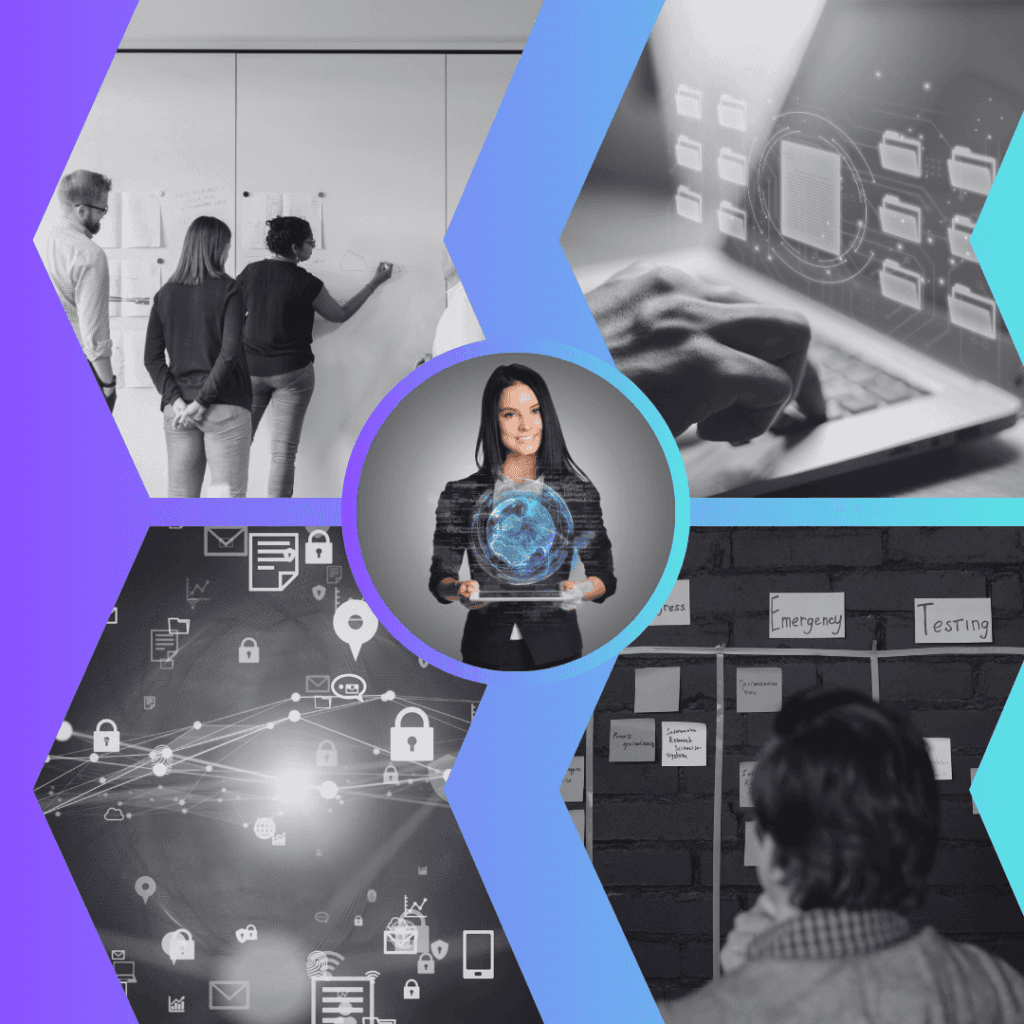 Servicio Automatización de Procesos No-Code