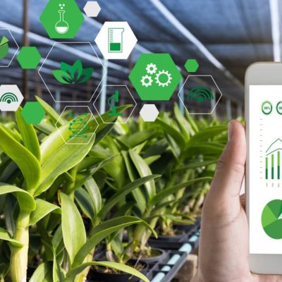 Celular seguimiento agropecuario